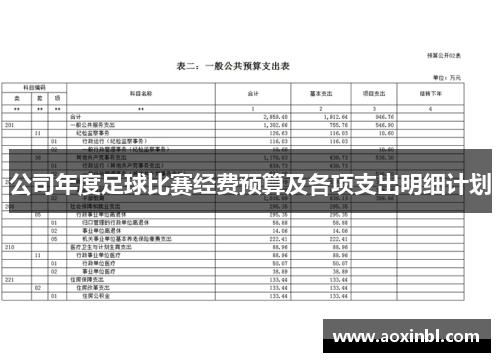 公司年度足球比赛经费预算及各项支出明细计划